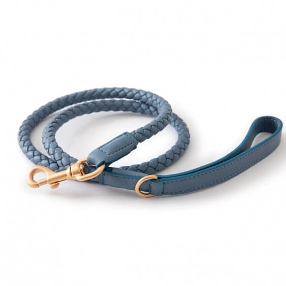 Duepuntootto Ferdinando dog lead - Agof Store