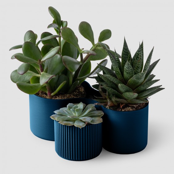 bFRIENDS Plant Pots vaso Bene - Agof Store