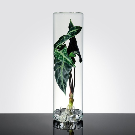 Blueside Benia Vase - Agof Store