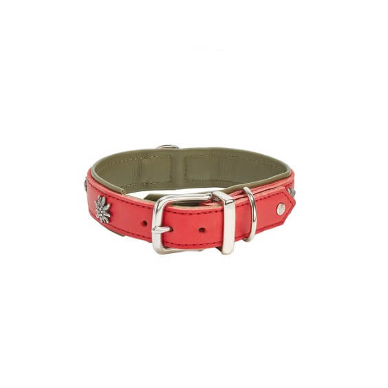 Laboni Edelweiss Hundehalsband - Agof Store