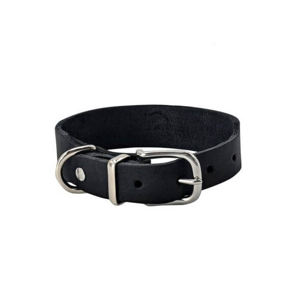 Laboni Giro Dog Collar - Agof Store