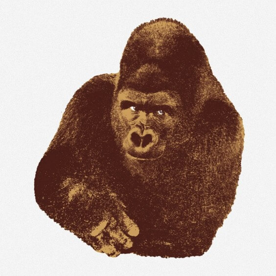 Danese Milano Quindici, Il Gorilla Art Print - Agof Store